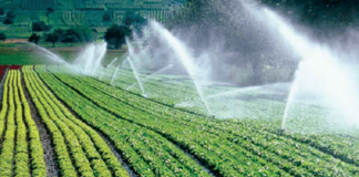 With half the water, African smallholders can double their yields