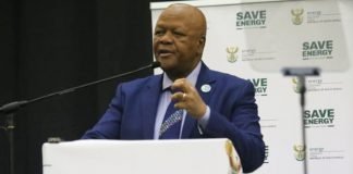 South African minister Radebe roots for nuclear in energy mix