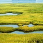 Wetlands protection needed for clean water rights
