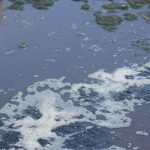 effluent on Lake Victoria