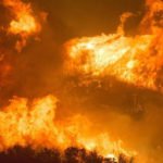 Could forests in African tropics be burning more than Brazil?