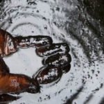 Oil Producing Countries in Africa