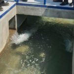 Water Treatment-Modernization of Old Mahalla plant launched in Egypt