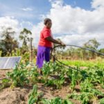 Bboxx, EDF, and SunCulture team up with Togo to accelerate access to sustainable solar-powered farming