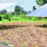 SunCulture receives boost for solar irrigation expansion in Africa