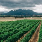 How Solar Pumps Benefit Everyday Life In Africa