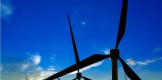 Global Wind Energy Council launches African wind body Global Wind Energy Council launches African wind body