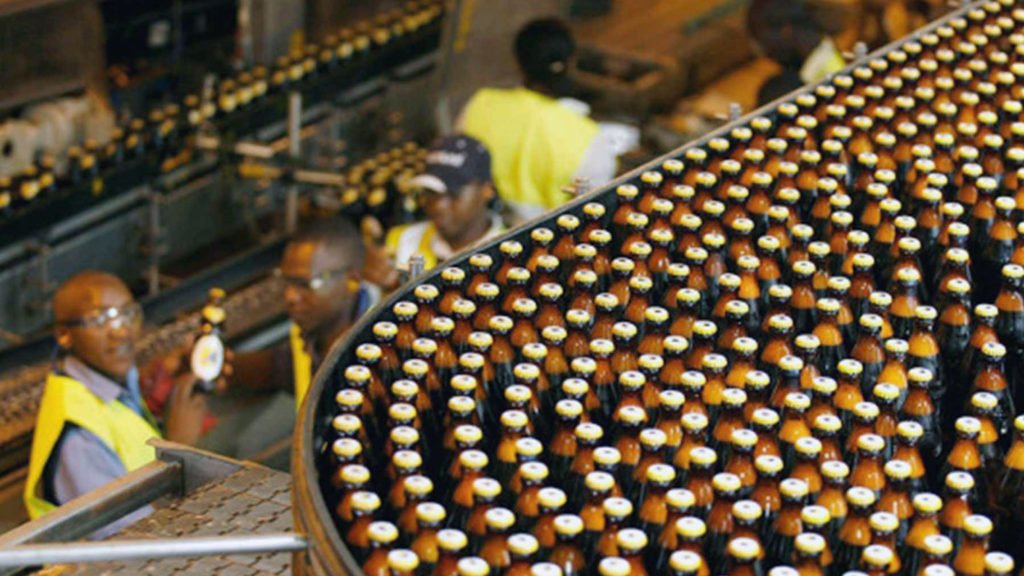 Kenya's biomass-fired energy plants almost ready