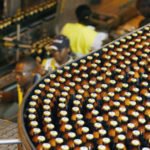 Kenya's biomass-fired energy plants almost ready