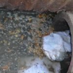 Tanzania to upgrade Mwanza Sewerage System