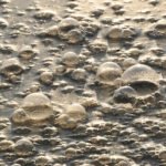 Factors affecting water and wastewater treatment in Africa