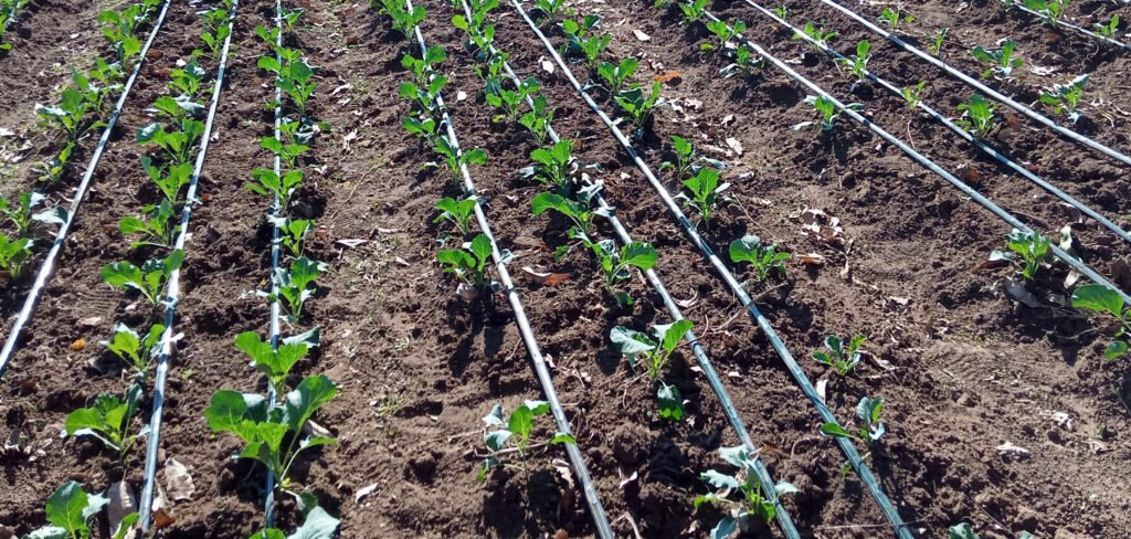 How to install irrigation pipes for your farm