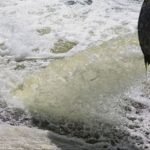 AWWDA Kenya launches tender for a consultant for recovery of sewage sludge at Dandora