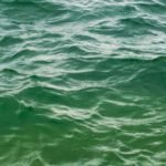 Chad launch tender for pumping and drinking water plants in Kariari