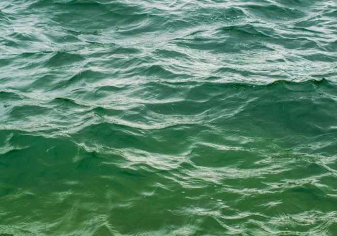 Chad launch tender for pumping and drinking water plants in Kariari Chad launch tender for pumping and drinking water plants in Kariari