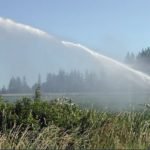 Kenya, Egypt ink deal on water infrastructure and food security