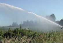 Kenya, Egypt ink deal on water infrastructure and food security