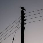 Kenya Power kicks off Rapid Results Initiative