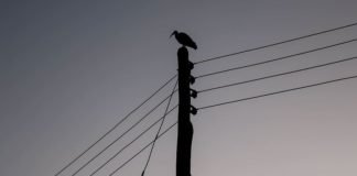 Kenya Power kicks off Rapid Results Initiative Kenya Power kicks off Rapid Results Initiative