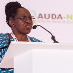 The role for women in the African energy sector