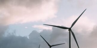 BlackRock buys stake in Kenya’s Lake Turkana wind farm BlackRock buys stake in Kenya’s Lake Turkana wind farm