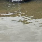 Tanzania to receive US $21M green bond for water project