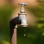 Phase two of PAEP project in Cameroon to begin