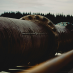 Standard Bank to fund Uganda-Tanzania oil pipeline project