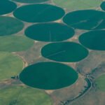 Saudi Arabia’s Agricultural Revolution