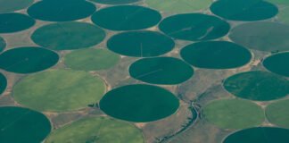 Saudi Arabia’s Agricultural Revolution: Turning the Desert into a High-Tech Farming Hub & Lessons for Africa Saudi Arabia’s Agricultural Revolution