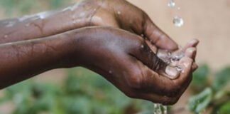 The OpenAg Foundation raises US $1.3 million for water security project in Africa Water Security Project in Southern Africa