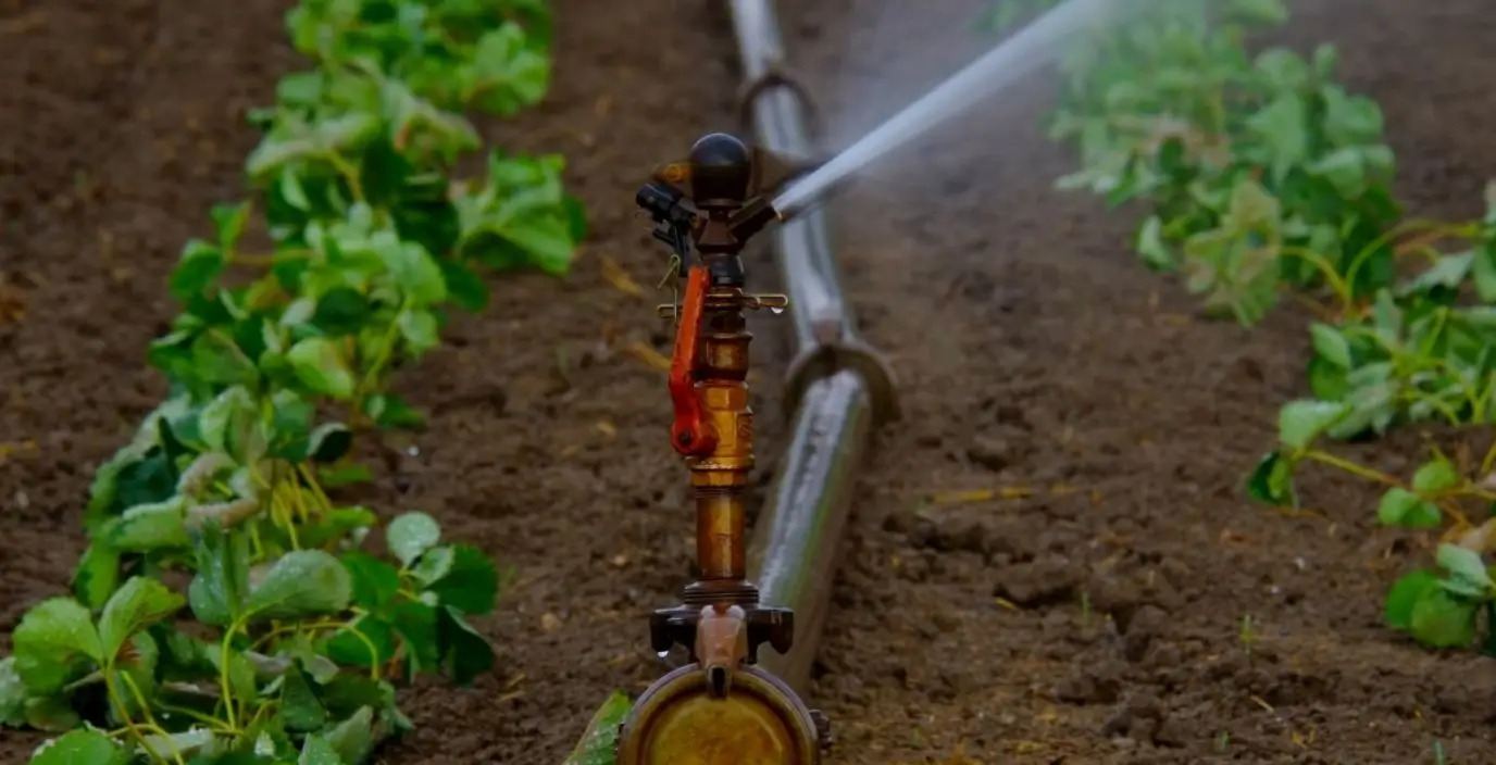 Irrigation