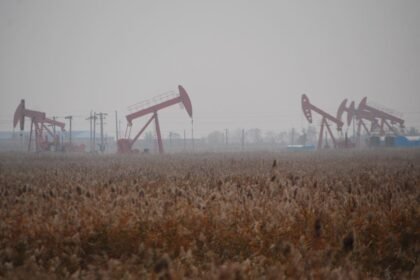 Ndungu offshore in Angola enters full-field production