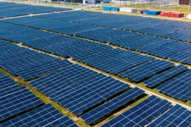 Tunisia launches tender for 300MW solar power plant