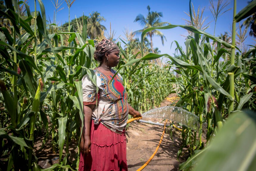 women in water systems Africa