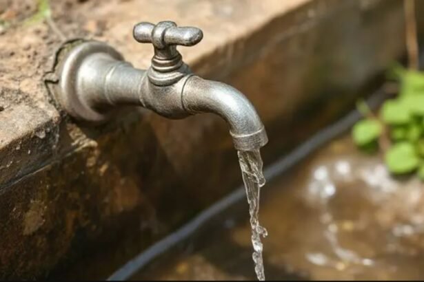Tanzania unveils US $431M budget for water security