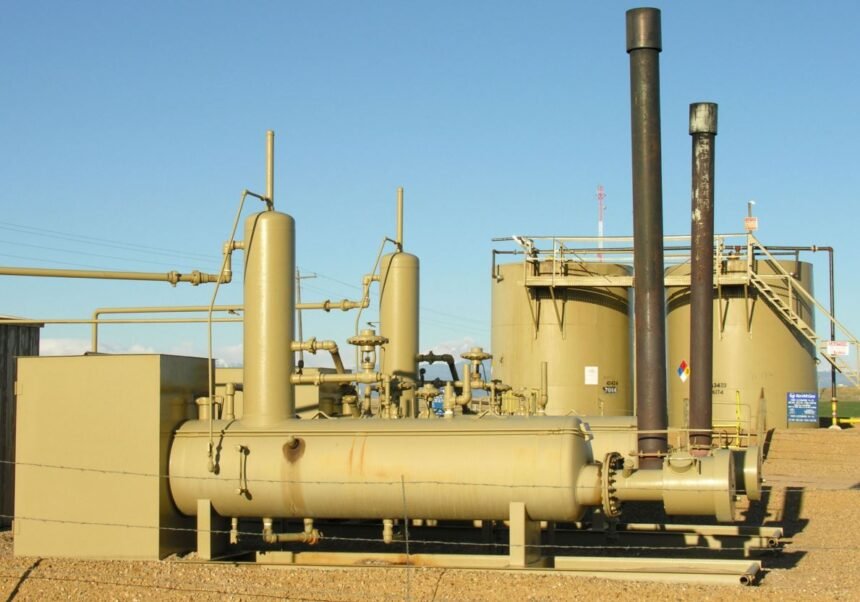 Egypt launches first phase of oil sector privatization
