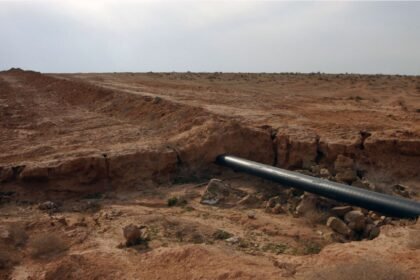 Dangote Group eyes new African oil pipeline network