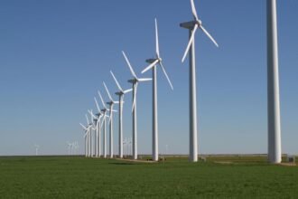 Egypt to develop first wind turbine factory