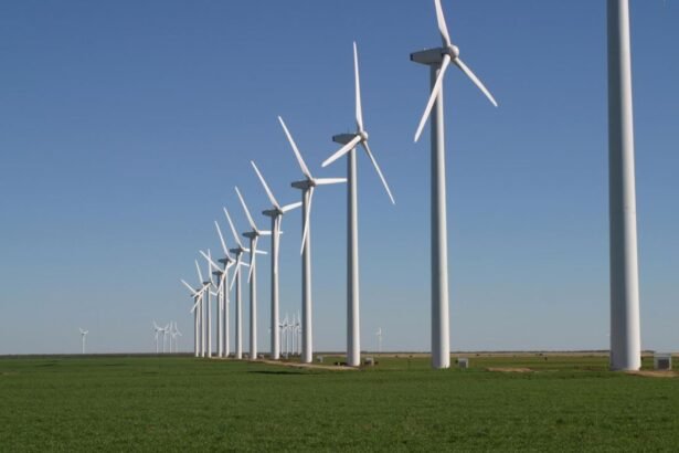 Egypt to develop first wind turbine factory