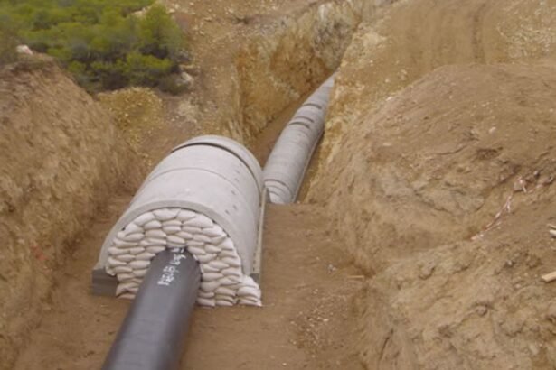Algeria launches construction of section of Trans-Saharan Gas Pipeline project