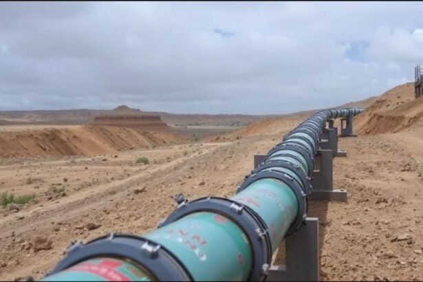 Tanzania, Uganda, Vitol advance plans for US $20Bn Tanga regional energy hub