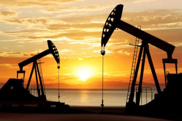Egypt, SLB explore AI and digital technologies to raise oil and gas output